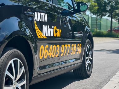 MiniCar-Auto